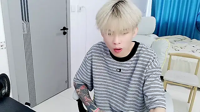 CC-778 Show Webcam