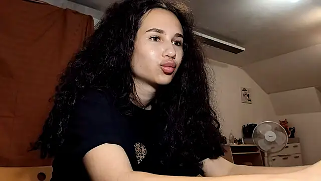 Show modela HazyLoom na web-kameri