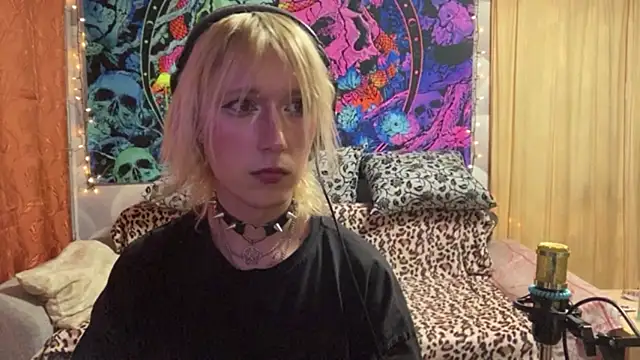 Reboot_F5 – webcam-show