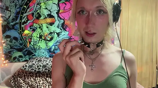 Reboot_F5 Show Webcam