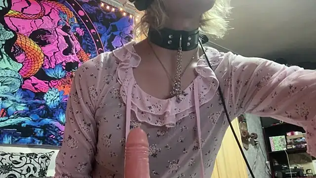 Reboot_F5 Webcam show