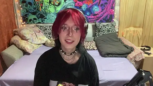 Reboot_F5 webcam show