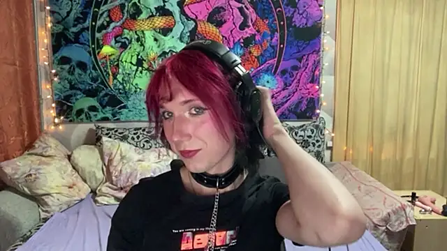 Reboot_F5 webcam show