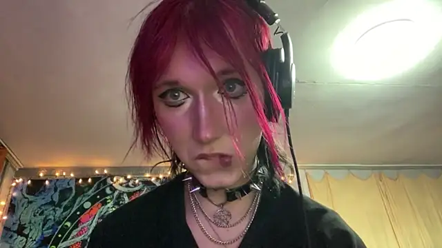 Reboot_F5 Show Webcam