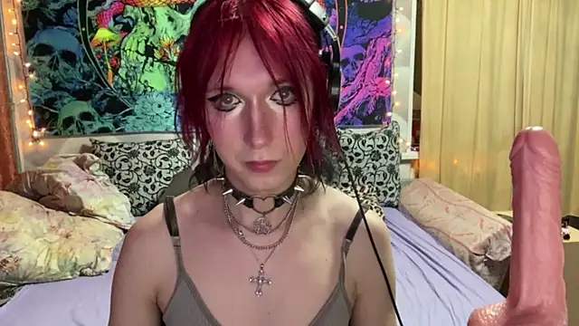 Reboot_F5 Webcam show