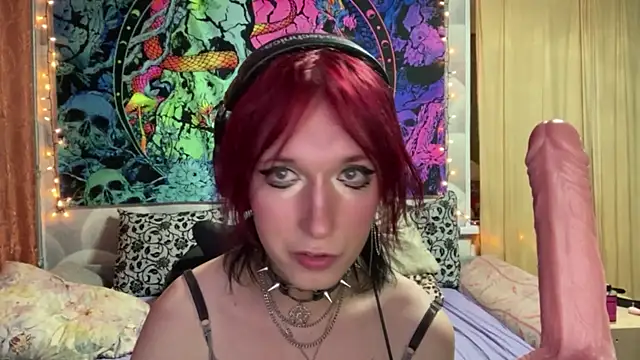 Reboot_F5 webcam show