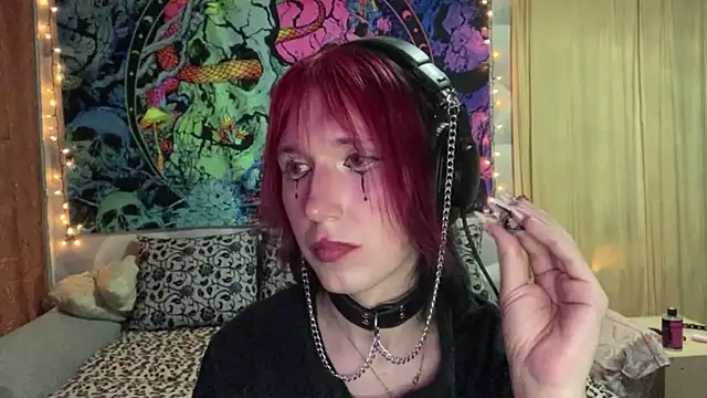Reboot_F5 Show Webcam