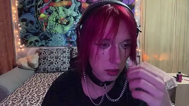 Reboot_F5 webcam show