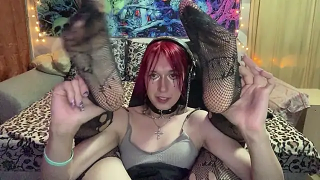 Reboot_F5 Webcam Show