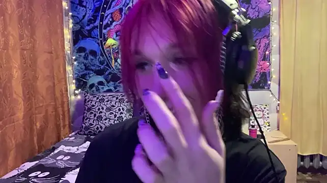 Reboot_F5 webcam show
