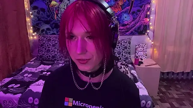 Reboot_F5 Webcam show