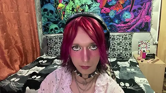 Reboot_F5n Webbikameraesitys
