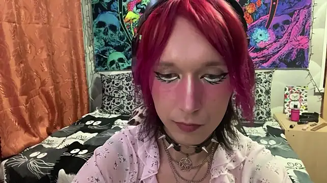 Reboot_F5 webcam show