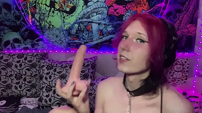 Reboot_F5 – webcam-show