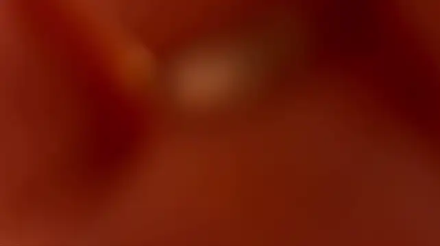 Show de webcam de pestiyilinet