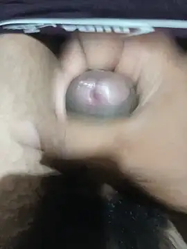 Pertunjukan Kamera Web johnsgh