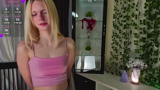 helly_hoffn Webbikameraesitys