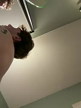 Bradgetshard2 Webcam show