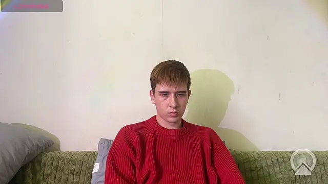 Thomas_Greenen Webbikameraesitys