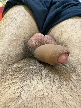 Samm_4646n Webbikameraesitys