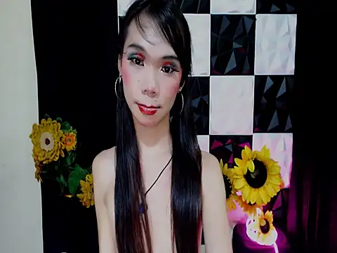 SKINNYasianSLUTsのウェブカメラショー
