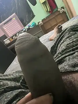 Show de Perk_S na webcam