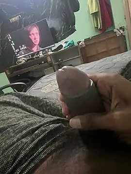 Perk_S Show Webcam