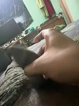 Perk_S Show Webcam