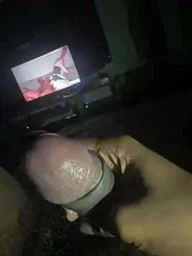Perk_S Webcam-Show