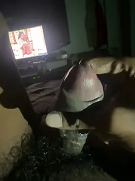 Perk_S Pertunjukan Webcam