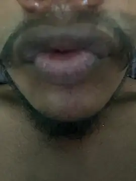 Perk_S Show Webcam