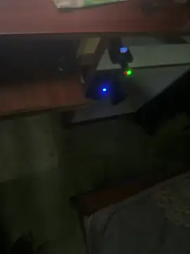 Perk_S Webcam Show