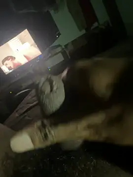 Perk_S Pertunjukan Webcam