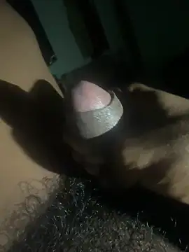 Show Webcam de Perk_S