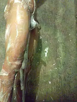 Elhercyn Webbikameraesitys