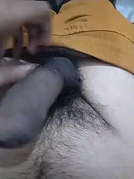 Ayush_sexyy08 Adlı Modelin Web Kamerası Şovu