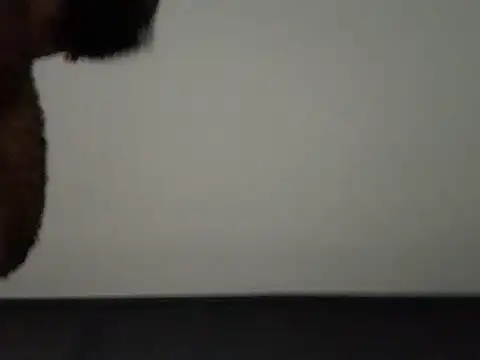 thenastymontana's Live XXX Chat