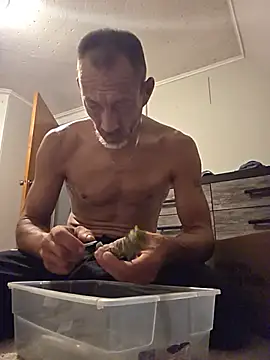 secritcpl Webcam-Show