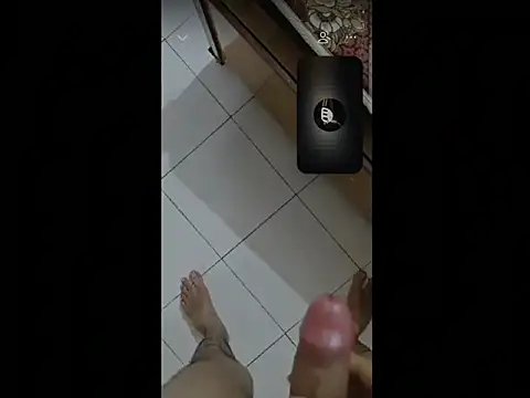 Show webcam de decoyed20