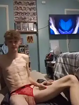 Show webcam de Jay-Thane