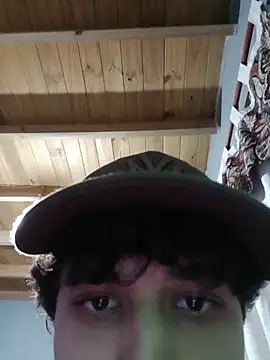 Lautilt webcam show