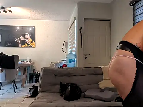 Show de webcam de chesarin