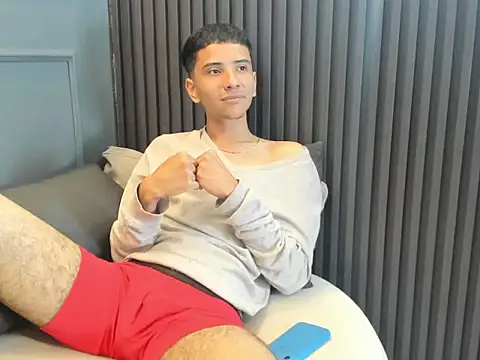 Mael_beischeln Webbikameraesitys
