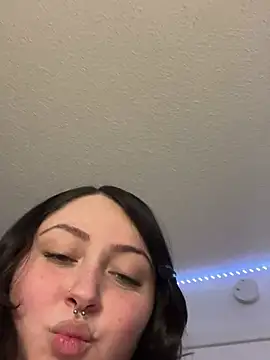 عرض كام Evemeqt