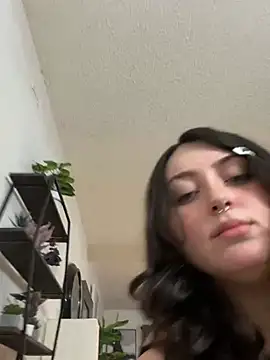 Show de Evemeqt na webcam