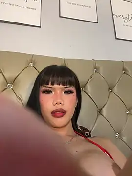 StarLovee 웹캠 쇼