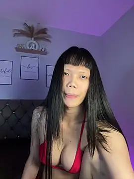 Show webcam de StarLovee