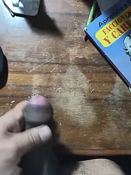 Show webcam de NightKong