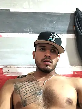 Show de Pipetilin na webcam