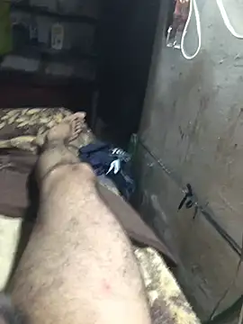 Show de Pipetilin na webcam